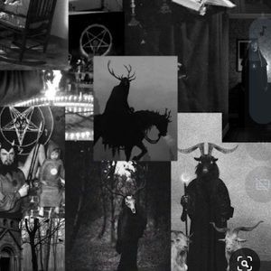 Meet your Posher, Nico